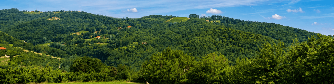Scopri la vita in fattoria tra le colline delle Langhe Astigiane