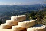 Scopri la vita in fattoria tra le colline della Langa Astigiana
