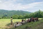 Scopri la vita in fattoria tra le colline delle Langhe Astigiane
