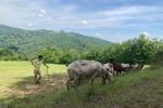 Scopri la vita in fattoria tra le colline delle Langhe Astigiane