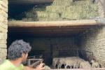Scopri la vita in fattoria tra le colline delle Langhe Astigiane