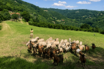 Scopri la vita in fattoria tra le colline delle Langhe Astigiane