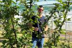 Raccolta di mirtilli biologici e picnic nel Monferrato