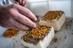 Giornata da casaro e degustazione di formaggi nella Valle del Ticino