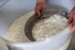 Giornata da casaro e degustazione di formaggi nella Valle del Ticino