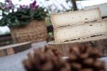 Giornata da casaro e degustazione di formaggi nella Valle del Ticino