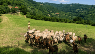 Scopri la vita in fattoria tra le colline delle Langhe Astigiane