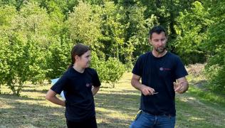 Raccolta di mirtilli biologici e picnic nel Monferrato