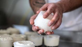 Giornata da casaro e degustazione di formaggi nella Valle del Ticino